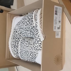 Cheetah uggs
